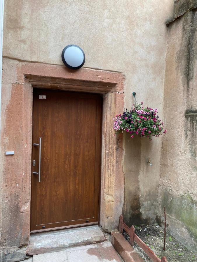 Logement De Charme Dans Un Monument Historique Date De 1544, Au Centre De Hagenau Exterior foto