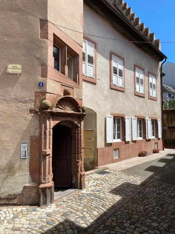 Logement De Charme Dans Un Monument Historique Date De 1544, Au Centre De Hagenau Exterior foto